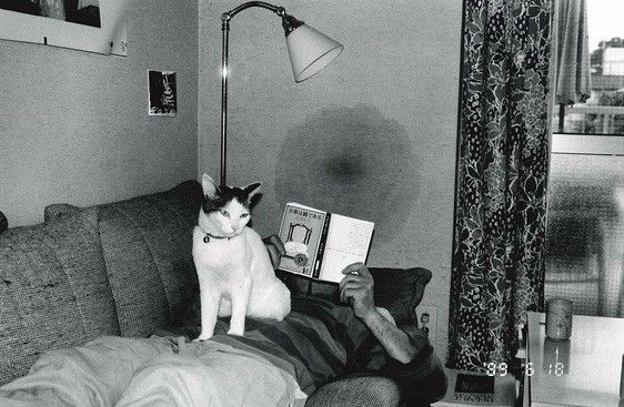 冒牌大哥 产品图片