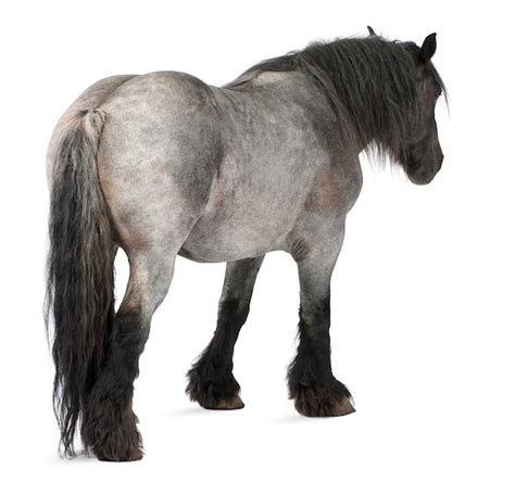 再见，男孩 推荐产品