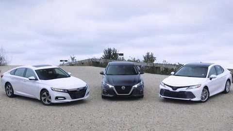 坏小子 产品图片