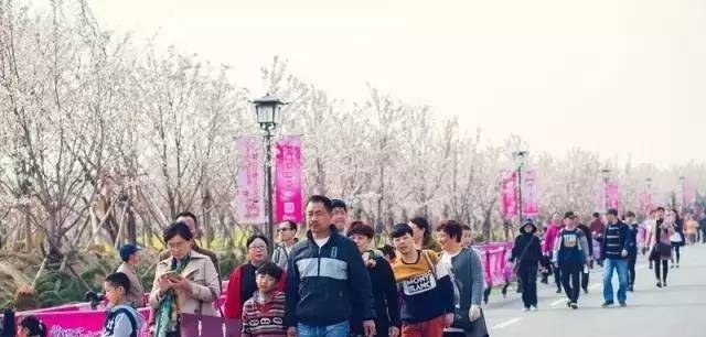 冬荫功 相关产品