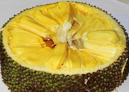 兄弟姐妹四十 产品图片