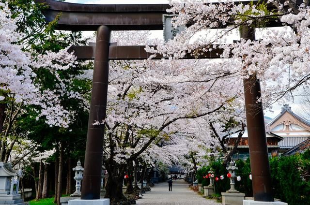 城南旧事 产品主图