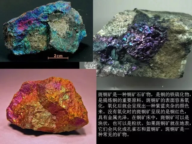 俄狄浦斯市长 相关产品