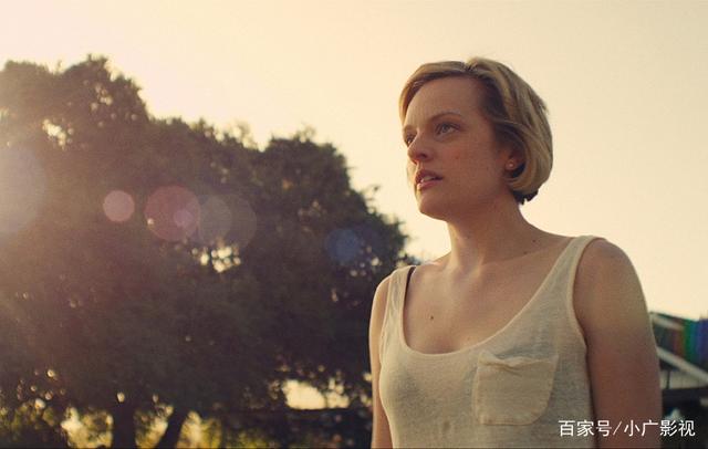 僵尸山雀 推荐产品