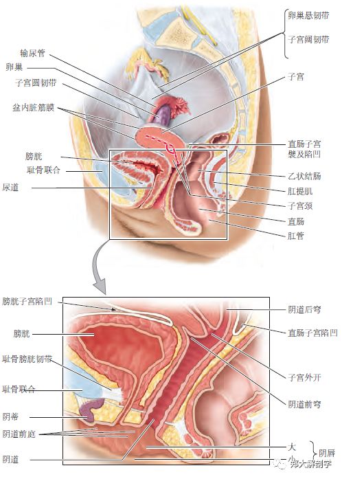 土路都有盐味道 推荐产品