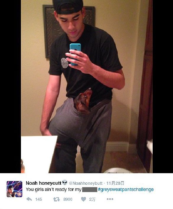 信长协奏曲 电影版 相关产品