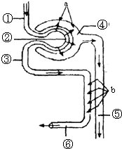 凤凰城等着你 产品图片