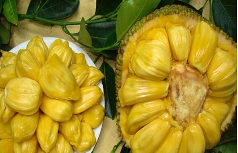 圣母院 相关产品