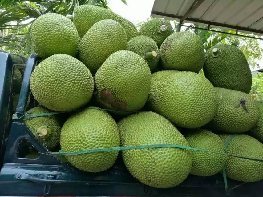 你还记得我吗 3D 相关产品