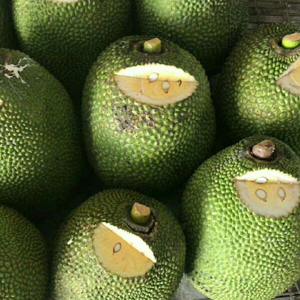 侦探芭比 相关产品