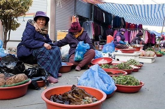 凯恩舰哗变的军事审判 相关产品