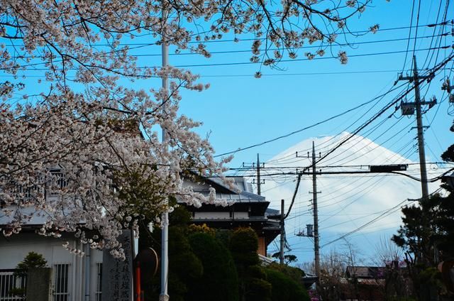 侠僧探案传奇之催命符 相关产品