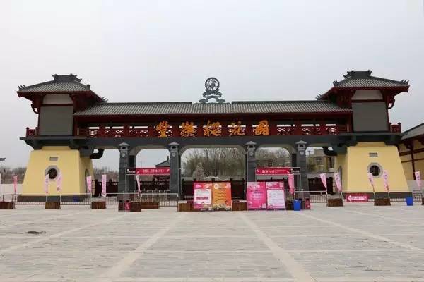 夜晚的灵魂 产品图片