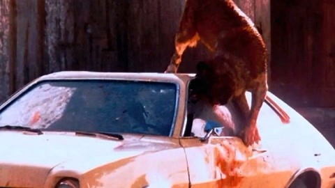 喀土穆 产品图片