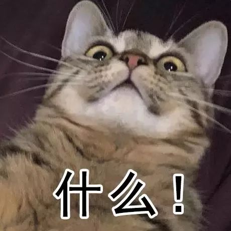 以女儿之名 产品主图