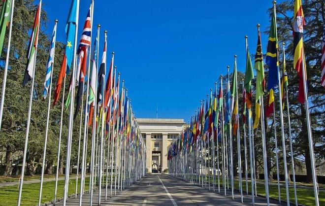 冷酷的心 产品图片