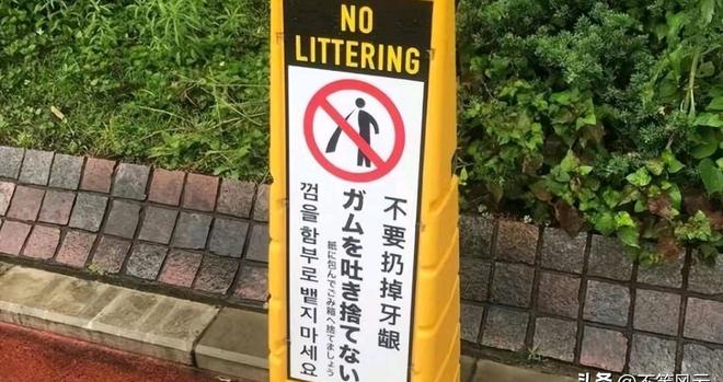 仿生人 相关产品