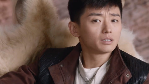 保镖2011 产品图片