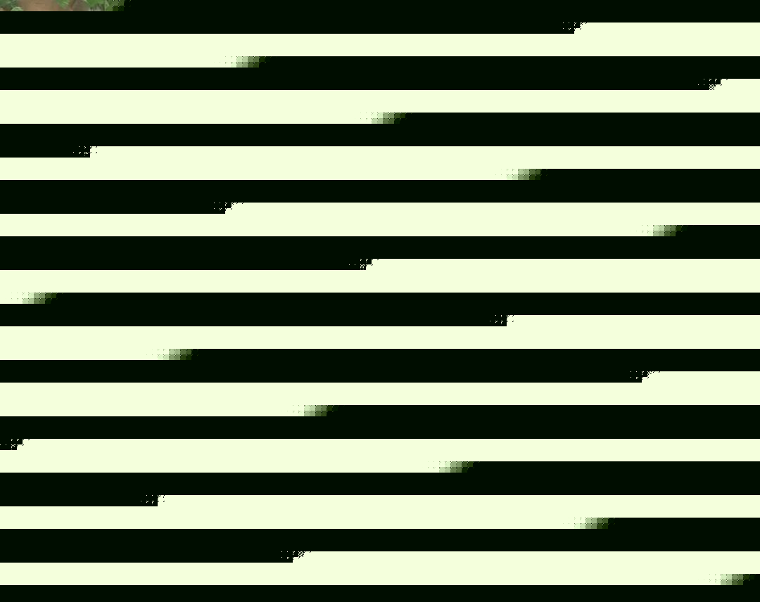 何二狗的名单 相关产品