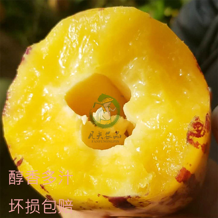 伸冤人 产品图片