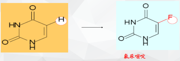 同根生 相关产品