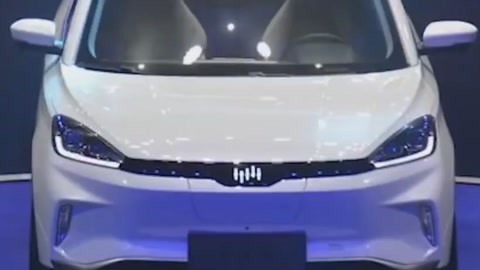 冒牌家庭 相关产品