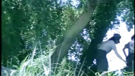 你是我的命运 相关产品