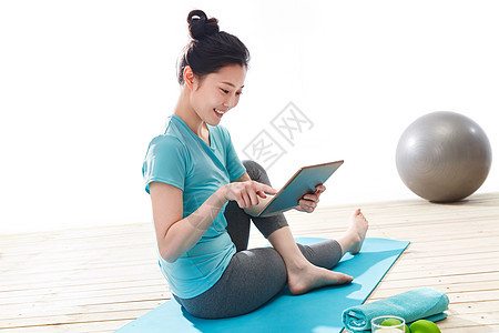 冰川鲨鱼 产品图片