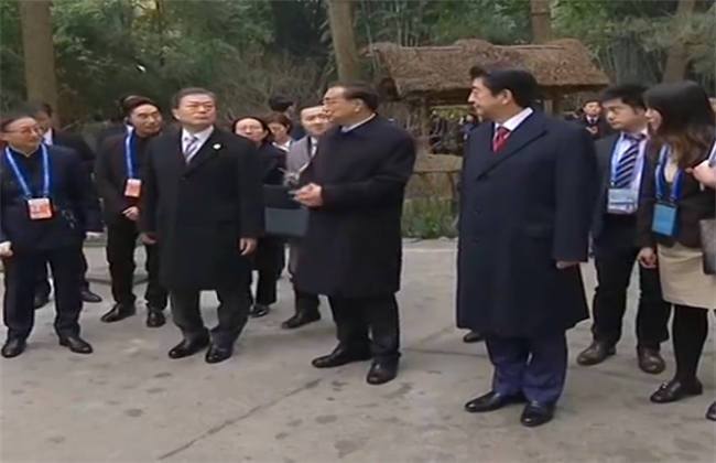 另一棵格尔尼卡之树 产品图片