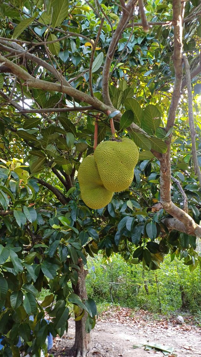 便利贴 相关产品