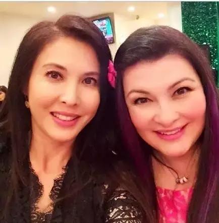 冰川鲨鱼 产品图片