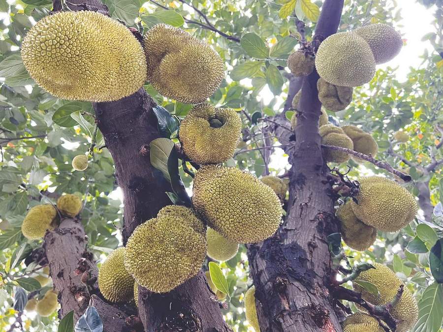 你是好孩子 相关产品
