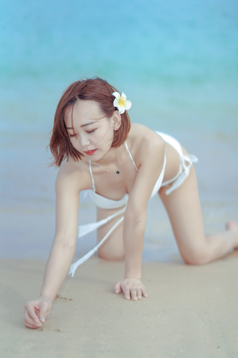 代号猛虎行动 推荐产品