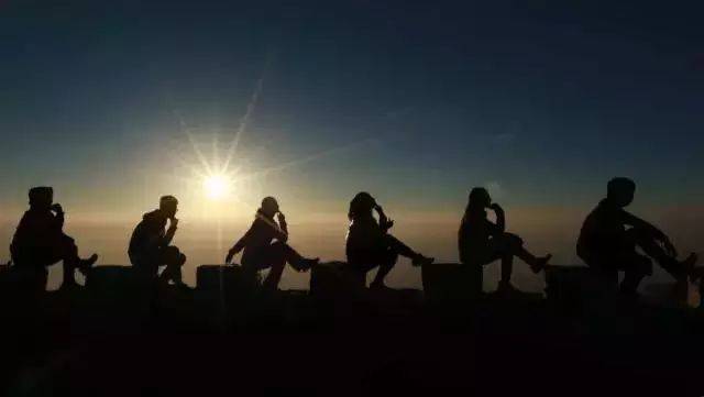 僵尸新战士 产品图片