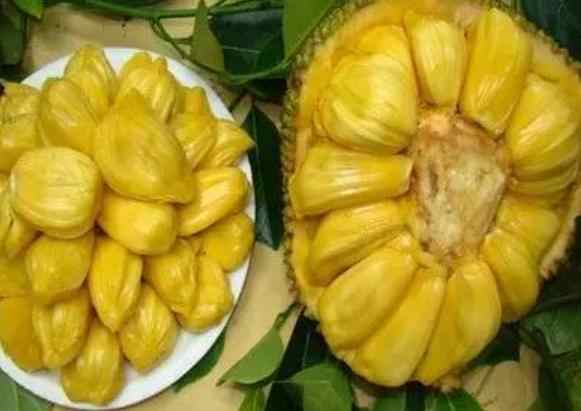 健忘村 相关产品