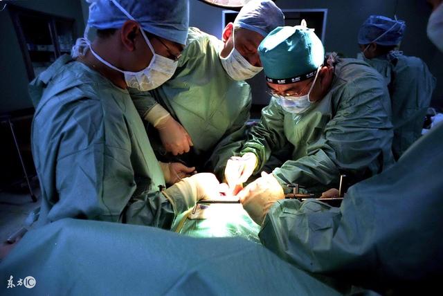 伊格尔和鹤的旅程 产品图片