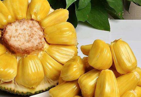 冲破黎明前的黑暗 推荐产品