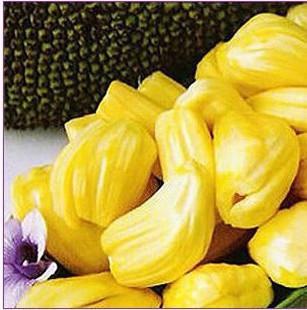 发丘天官：昆仑墟 产品图片