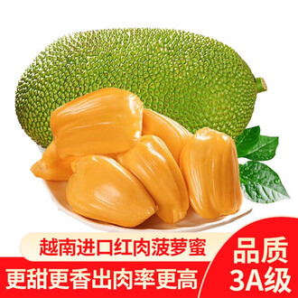 PLAY! 输赢怎样都行 产品主图