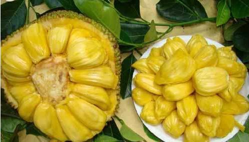 冰雪勇士3 产品图片