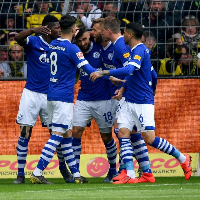 兄弟姐妹四十 产品图片