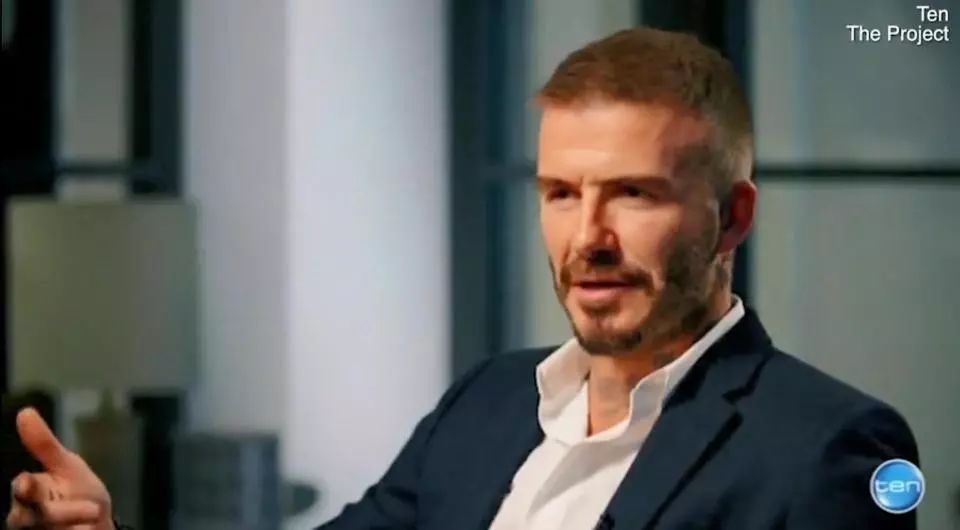 凤凰城等着你 相关产品