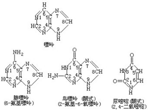 城南旧事 相关产品