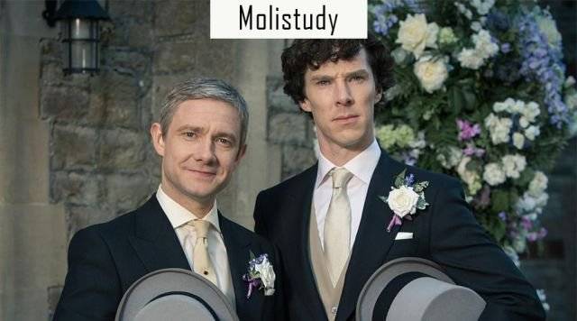 你的鸟儿会唱歌 相关产品