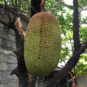 七年很痒 产品主图