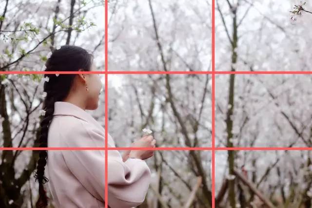 和巴什尔跳华尔兹 产品图片