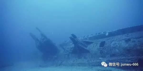 你是下一个 相关产品