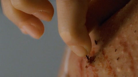 冒险俱乐部 产品图片