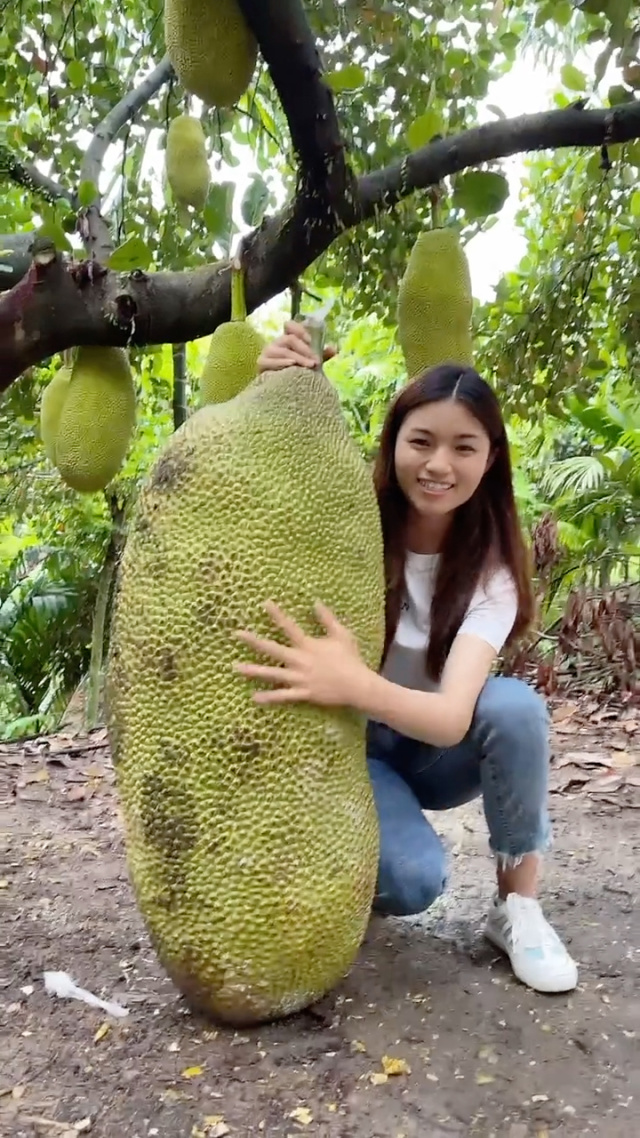 以骗制骗 相关产品