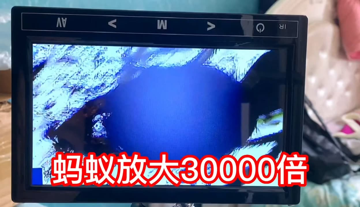 凯特的外遇日记 产品图片